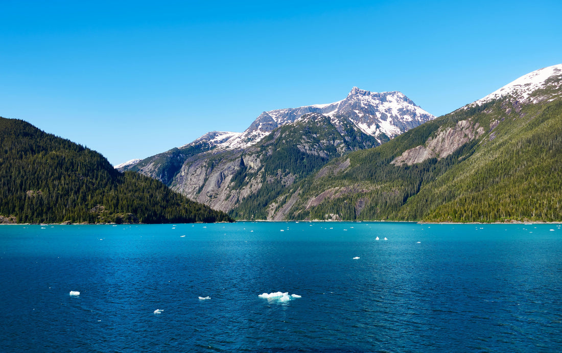 Cold Start — Prudhoe Bay to Baja