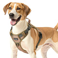 PawShield XL No Pull Harness