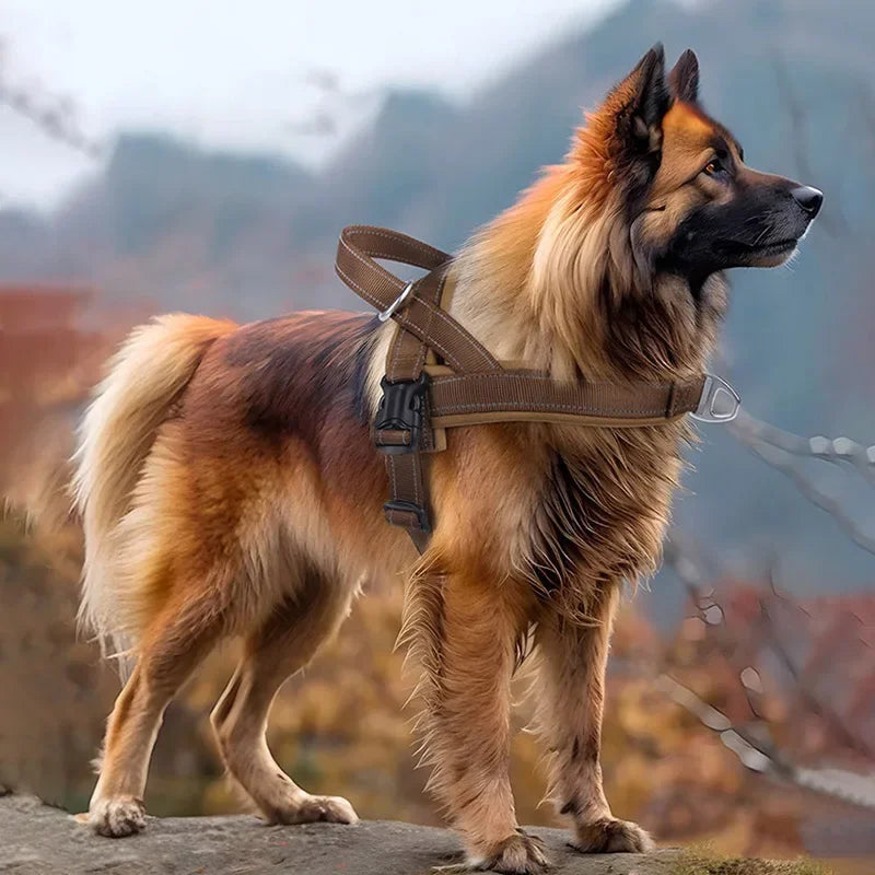 Escape Proof Tactical Dog Harness UltraLuxComforted