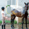 Outdoor Pet Grooming Shower & Sprayer Combo