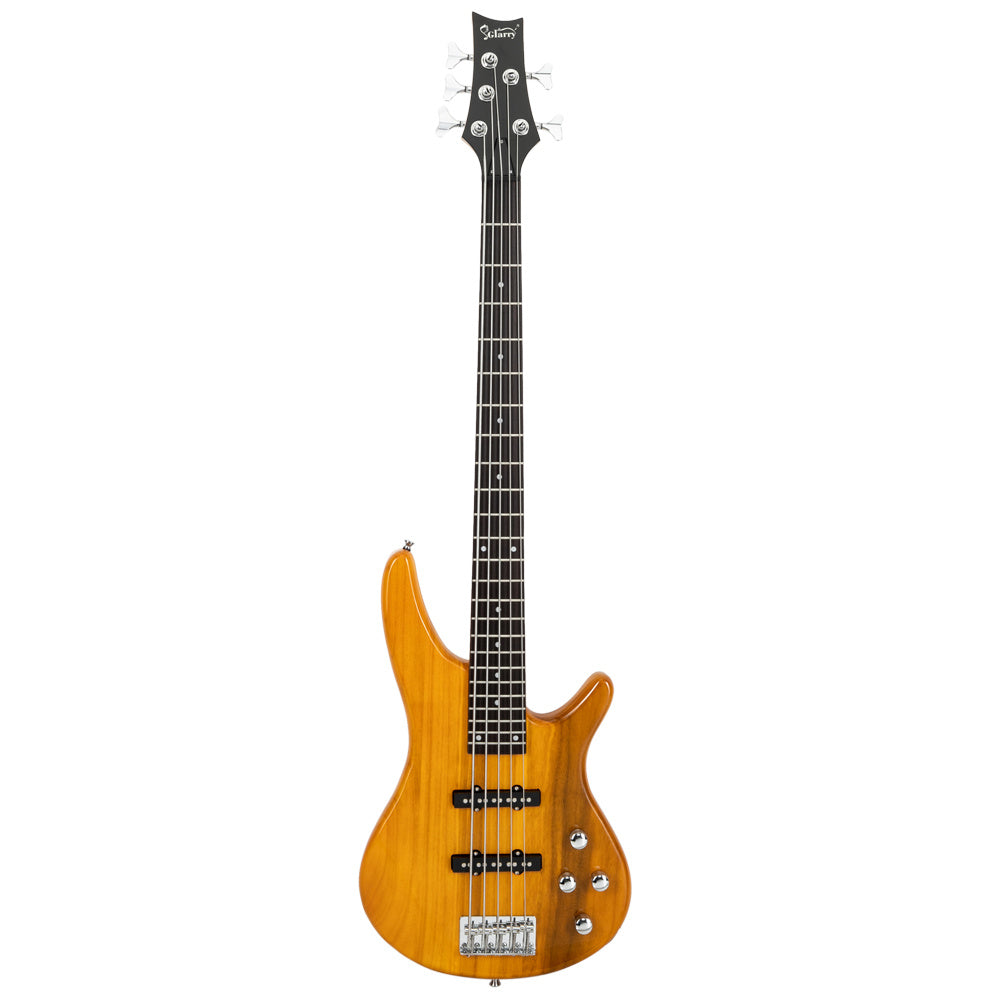 Electric 5 String Bass Guitar