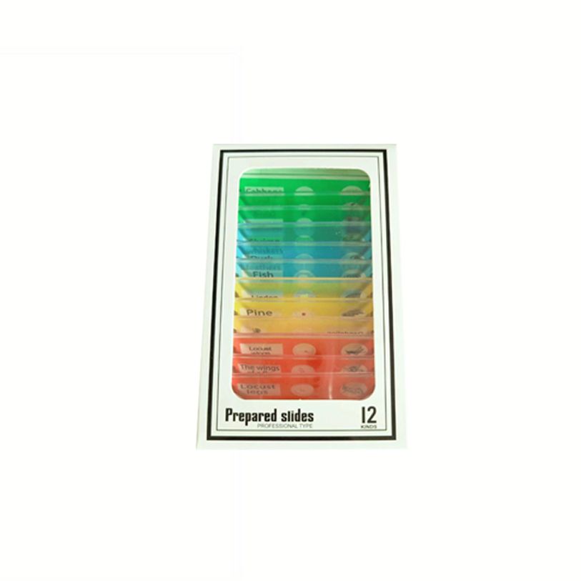 Mini LED Pocket Microscope for Kids