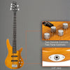 Electric 5 String Bass Guitar