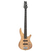 Glarry GIB Electric 5 String Bass Guitar