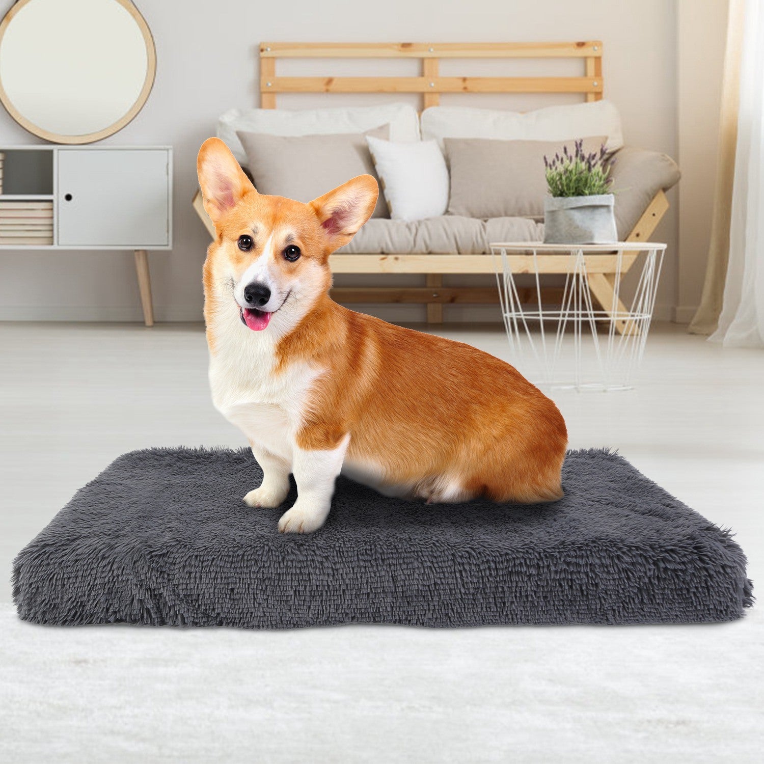 Luxurious Plush Dog Bed