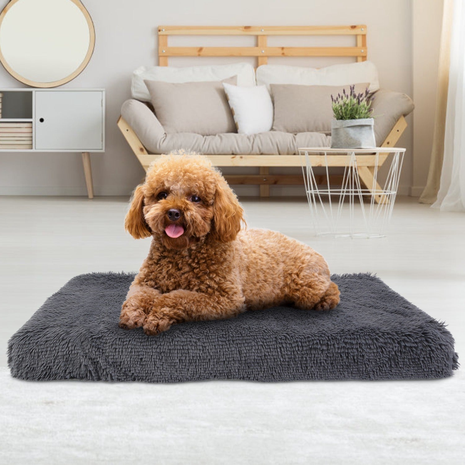 Luxurious Plush Dog Bed