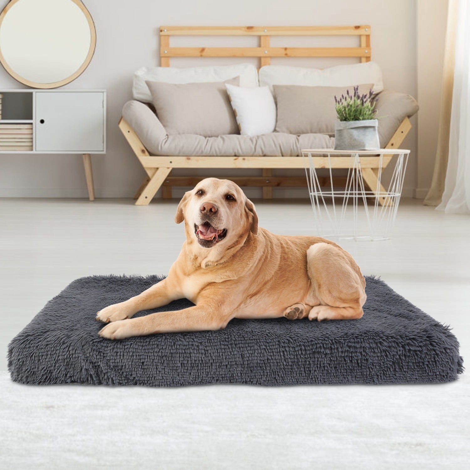 Luxurious Plush Dog Bed