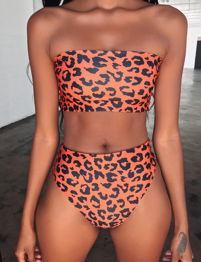 Fierce Leopard Print Bikini