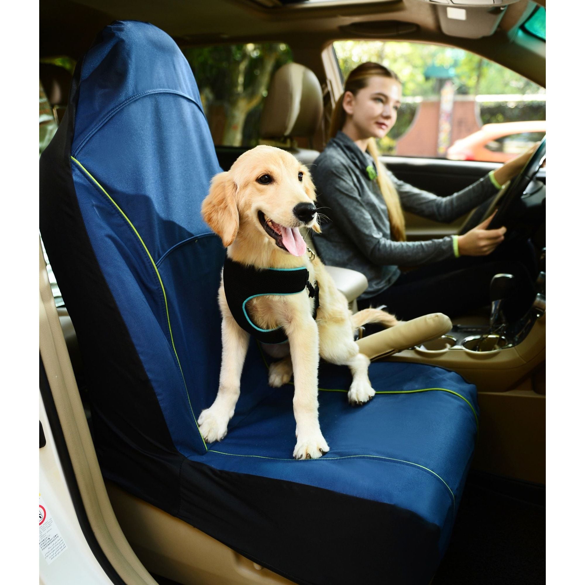 Ultimate Car Seat Protector for Pets and Kids