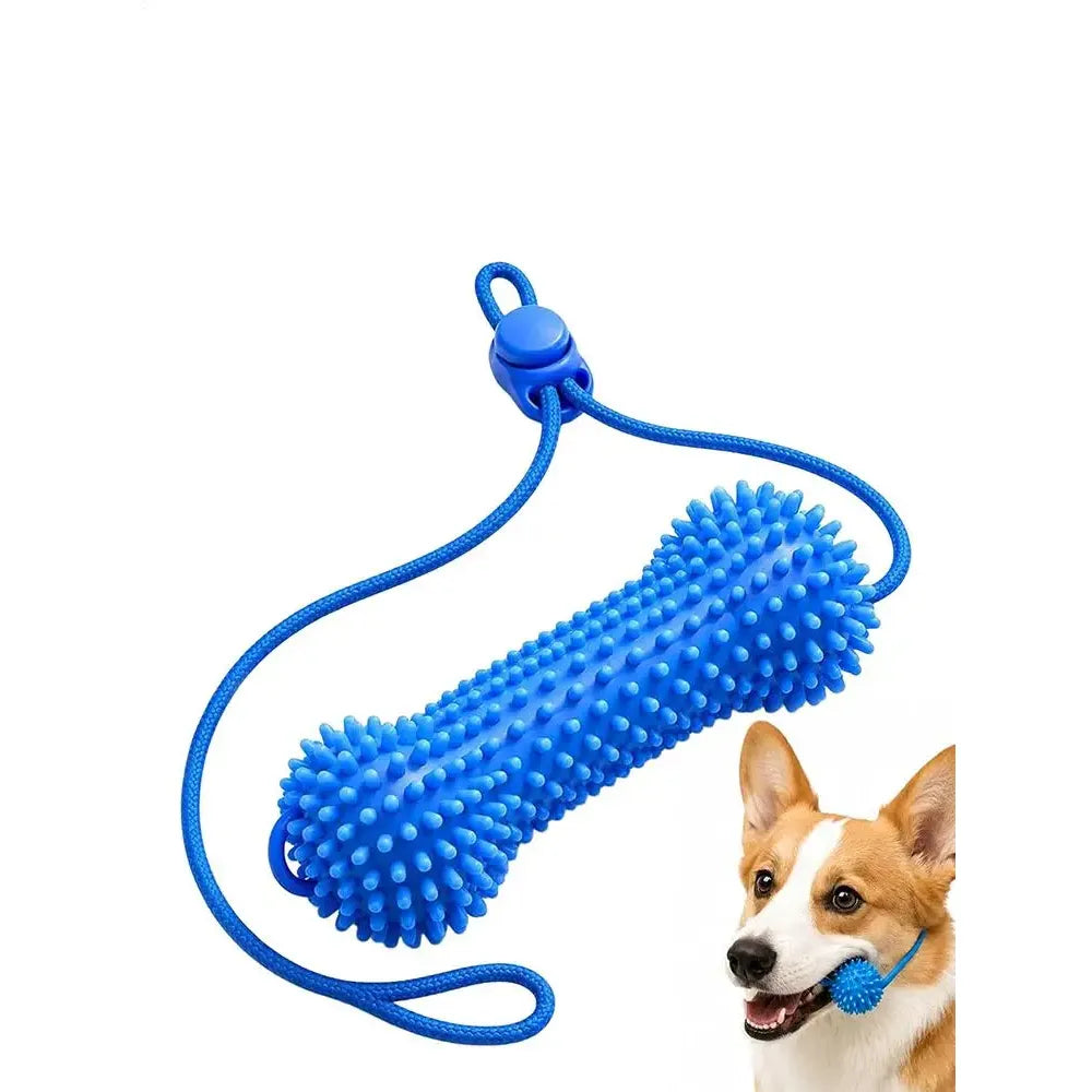 Dual Action Canine Dental Chew Toy For Teeth Cleaning Fresh Breath